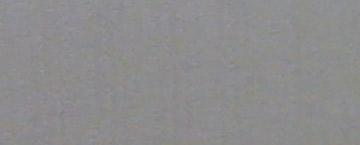 Cotone
